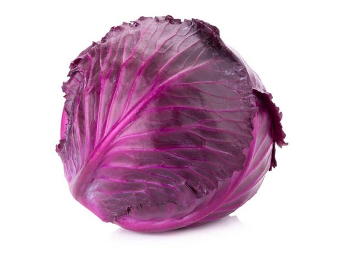 Cabbage red