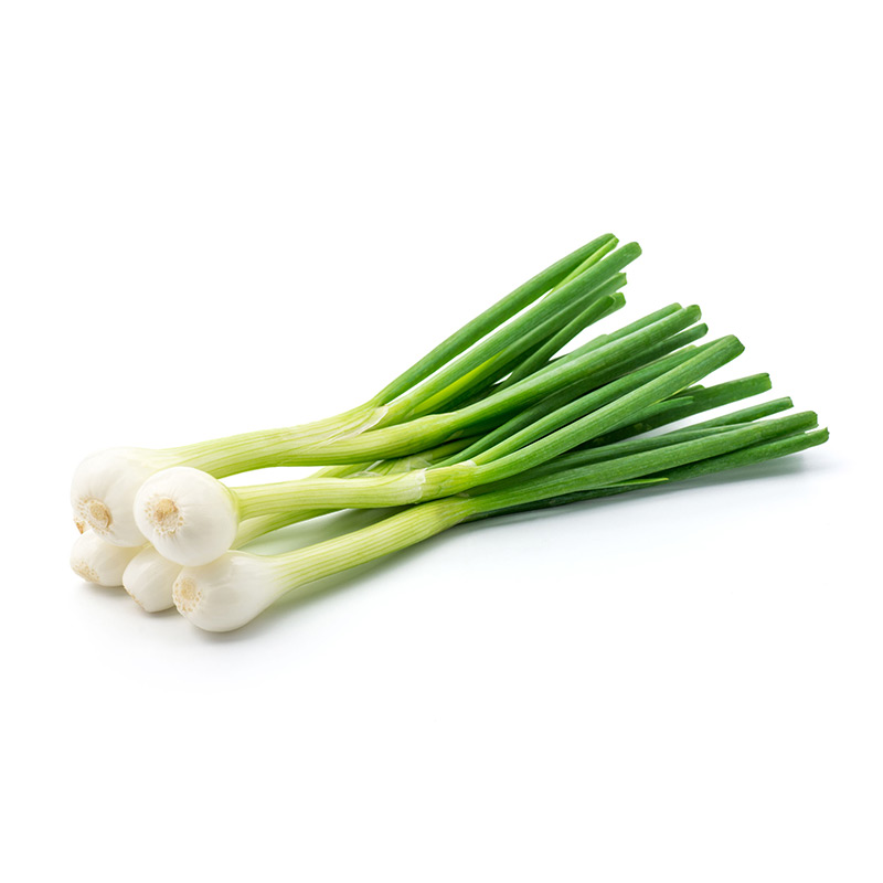 spring-onion